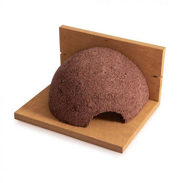 CJ Wildlife - House Martin Single Left Nest (Ply Back)